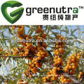 Sea Buckthorn Extract